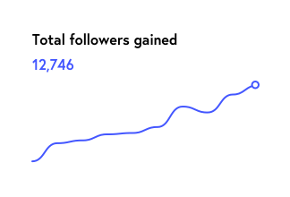 a chart depicting an increase in Instagram followers